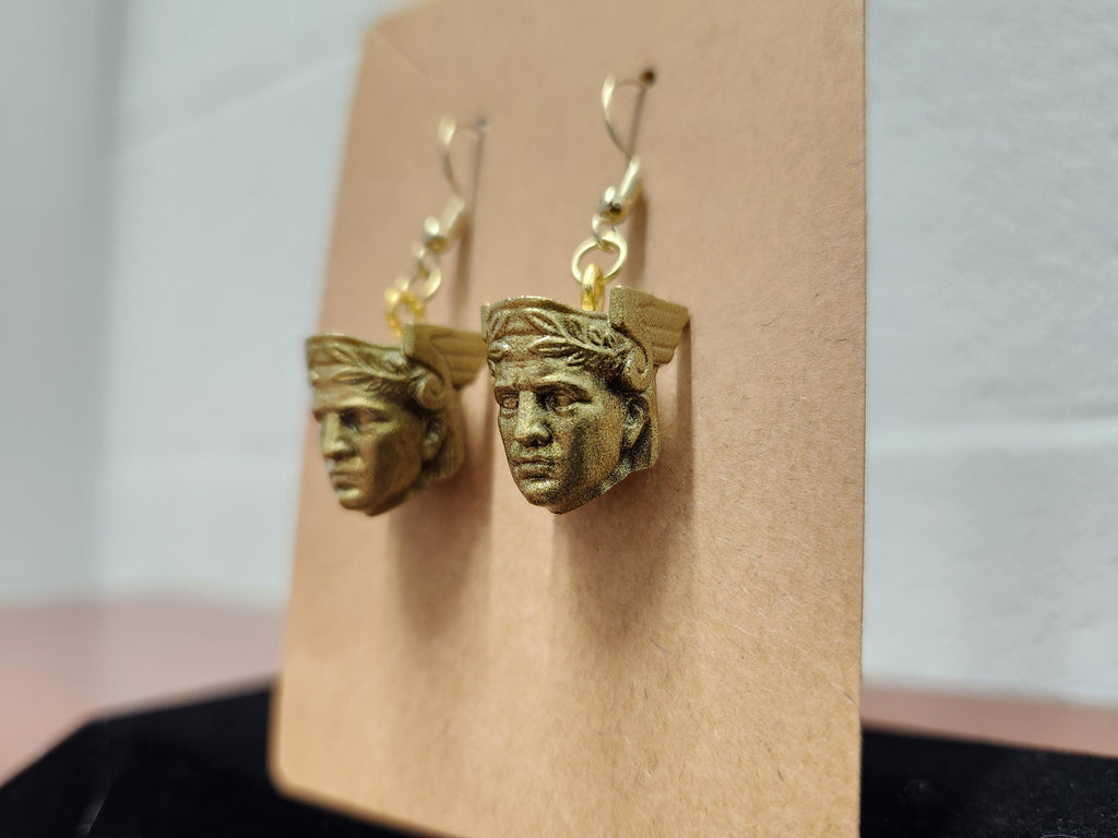 Guardian Ear Rings